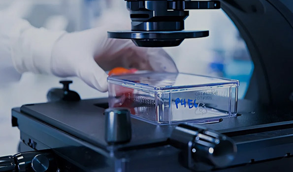 熱烈慶祝我司順利通過&ldquo;專精特新&rdquo;企業(yè)認定